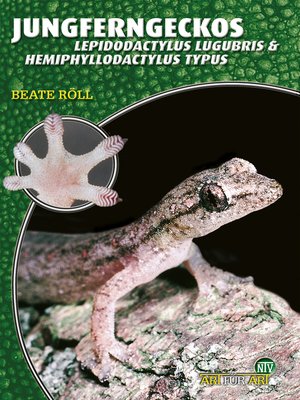 cover image of Jungferngeckos